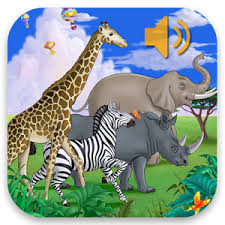ANIMAL SOUNDS